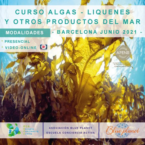 curso-algas-liquenes-y-otros-productos-sanadores-del-mar-JUNIO_2021_