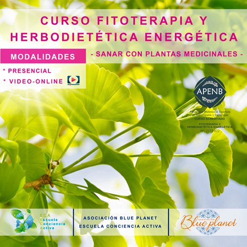 curso-fitoterapia-energetica-y-herbodietetica-presencial-Genérico_